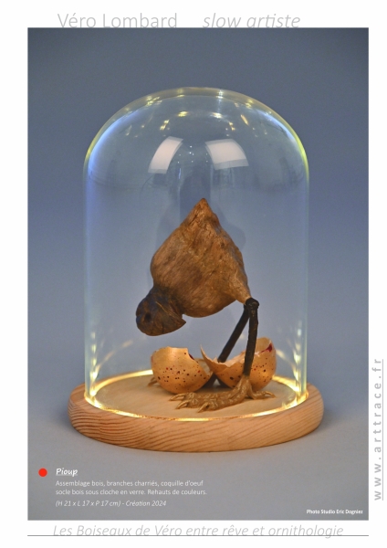 LesBoiseauxDeVéro2025w