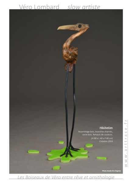 bookboiseaux2024