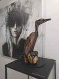IMG_20220911_120437