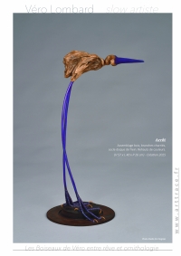 LesBoiseauxDeVéro2026w