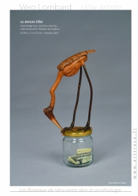 LesBoiseauxDeVéro2026w