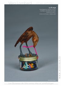 LesBoiseauxDeVéro2026w