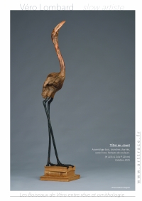 LesBoiseauxDeVéro2026w