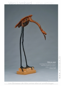 LesBoiseauxDeVéro2026w