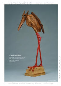 LesBoiseauxDeVéro2026w