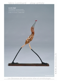 LesBoiseauxDeVéro2025w