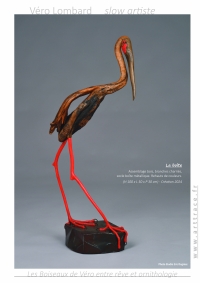 LesBoiseauxDeVéro2025w