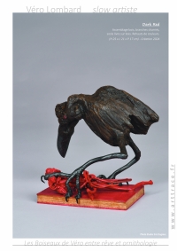 LesBoiseauxDeVéro2025w