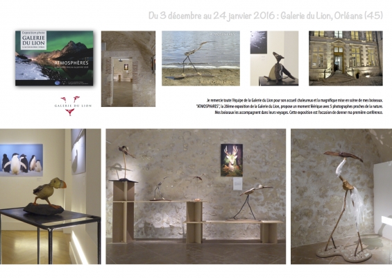 53bookActivités