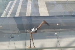 IMG_20201018_1200522