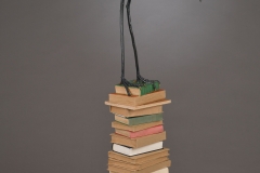 VLombard_ecritures_BDS