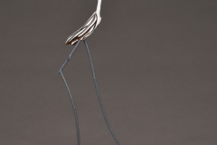 VLombard_elevation_BDS