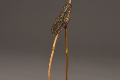 VLombard_impressions_boisss_h29l21p5_BDS