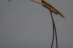 VLombard_lOiseauRare_BDS