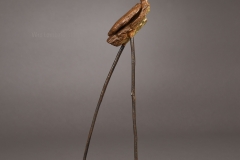 VLombard_lagardiennedesfeuilles_BDS