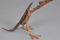 VLombard_leTerrible_BDS