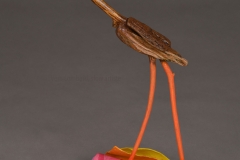 VLombard_lechoixdejames_BDS