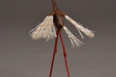 VLombard_poussieredetoile_bois_h24l19p14_BDS