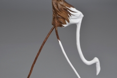 VLombard_rencontre_BDS